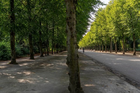 The Jägerhofallee in the Hofgarten, the central municipal park in Düsseldorf, North