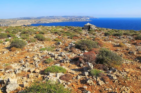 Coastal scenery vegetation blue sea looking south from Res il-Qammieh, Marfa Peninsula, Republic of