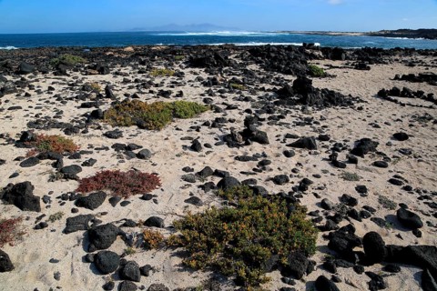 Beach rocks and white sand, near Majanicho on north coast of Fuerteventura, Canary Islands, Spain,