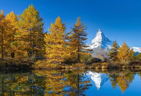 Matterhorn and Lake Grindji, Valais, Switzerland, Europe