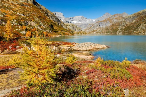 Autumn colours at Lac d'Emosson in the Valais mountains, Switzerland, Europe