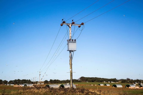 Electricity power supply lines held on wooden telegraph poles crossing fields against blue sky,