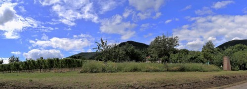 View from Edenkoben towards the Palatinate Forest with the Blättersberg in the centre of the
