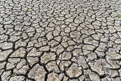 Dry ground, cracked, dried-up riverbed, in a branch of the Rhine, near Duisburg