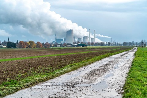 Field path, lignite-fired power station, RWE Power AG Niederaußem power station, near Bergheim,