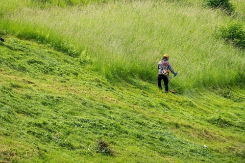 Landscape maintenance, high grass, cutting at a business, gardener, landscape maintenance, cutting