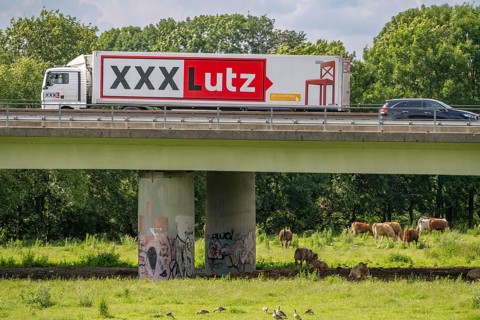 Lorry on the A40 motorway, bridge over the Ruhr and Styrumer Ruhrauen, herd of cattle, dairy cows
