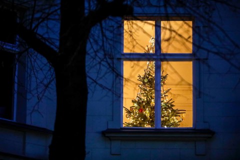 Luminous Christmas tree in a flat. Due to the corona pandemic, Christmas parties are only allowed