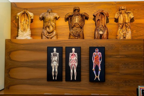 Founded in 1912, the Deutsches Hygiene-Museum is a museum in Dresden. It sees itself as a public