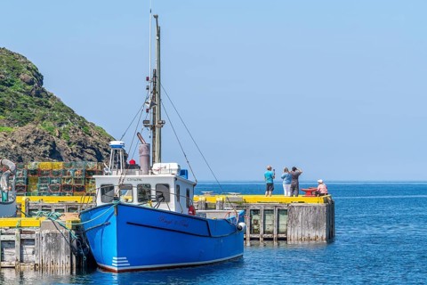 Blue fishing boat and tourists in the harbour of the fishing village Lark Harbour, Bay of Islands,