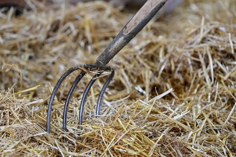 Symbol photo pitchfork