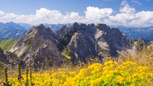 Panorama from the Großer Daumen (2280m) to the Daumengruppe with Wengenkoepfe to the Nebelhorn