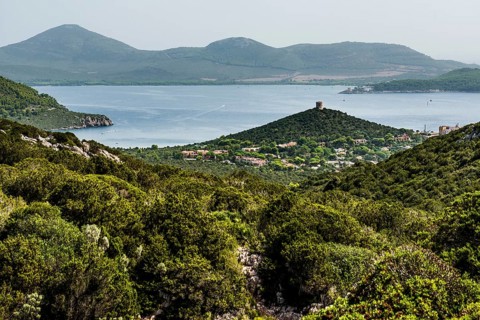 Coastal landscape and old Genoese tower, Capo Caccia, near Alghero, Sardinia, Italy, Europe