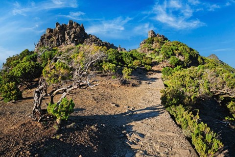View from hike trail path to Pico Ruivo, Madeira