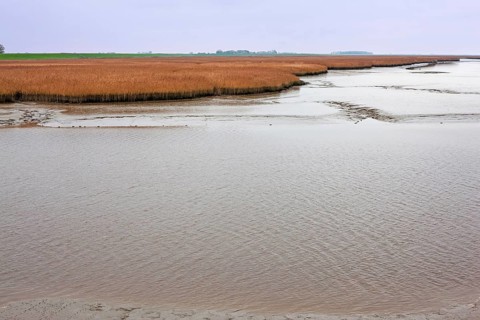 Low tide, mudflats, Dollart, Nieuwe Statenzijl, Netherlands