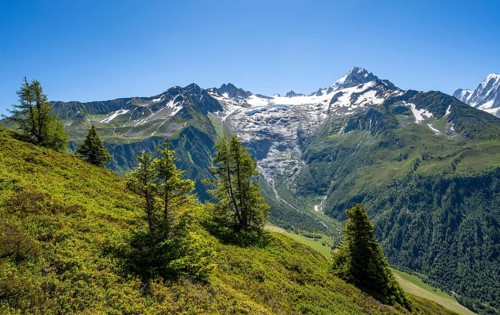 Mountain panorama with glaciated mountain peaks, Aiguille de Chardonnet with Glacier du Tour, hike