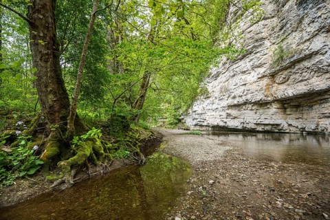 Steep cliffs and river, Wutach Gorge, Bonndorf, Baden-Württemberg, Black Forest, Germany, Europe