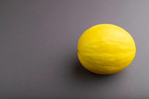 Ripe yellow melon on gray pastel background. Side view, copy space. harvest, healthy, vegan food,