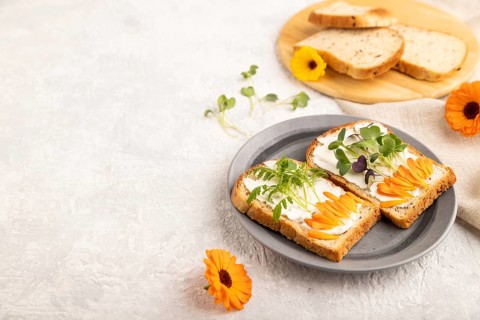 White bread sandwiches with cream cheese, calendula petals and microgreen radish and tagetes on