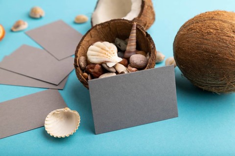 Gray paper business card with coconut and seashells on blue pastel background. Side view, copy