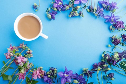 Pink and purple columbine flowers and a cup of coffee on pastel blue background. Morninig, spring,