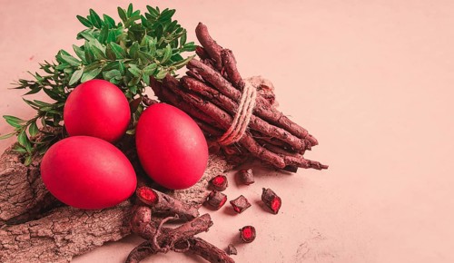 Madder dye, Endro, rhizome for egg coloring, viva magenta color, Easter, Georgia, Asia