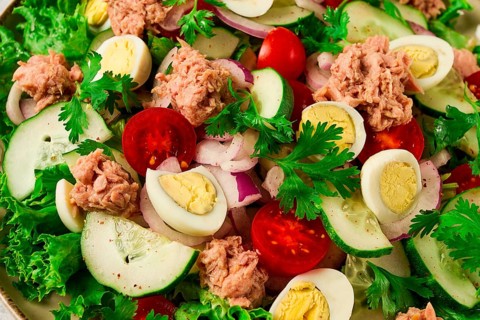 Tuna salad, vegetable salad with quail eggs, lettuce, red onion and cucumbers, on a light gray
