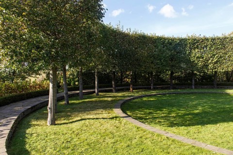 Cottage garden with green lawn, trees, hedges, trimmed bushes. Modern landscape design