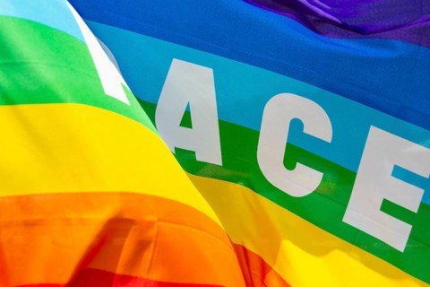 Peace flag with the inscription PACE