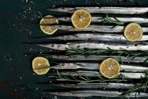 Fresh, Black Sea fish. raw, sargan, sea pike, top view, no people