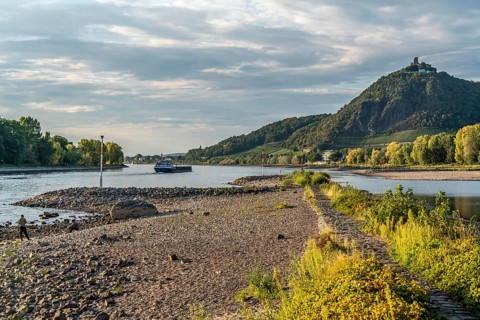 The Rhine at extremely low water, near Bad Honnef Rhöndorf, below the Drachenfels, Nonnenwerth