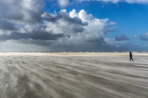 North Sea, Spiekeroog Island, autumn, strong wind drives the sand over the mudflats at low tide,