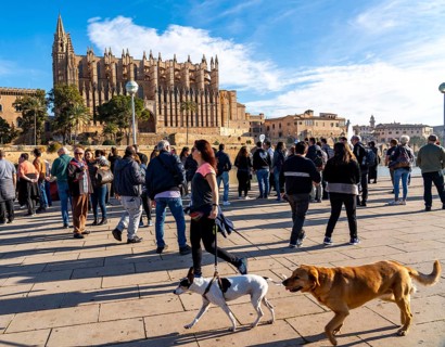 Palma de Majorca, Bay of Palma, the Cathedral of St Mary, group of tourists, from a cruise ship,