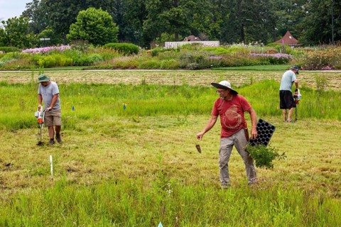Detroit, Michigan, Volunteers planting in the wetlands at the public garden designed by prominent
