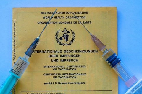 Vaccination book, proof of vaccinations, international document based on WHO recommendations,