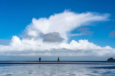 Beach, tidal creek, in the west of Borkum, island, East Frisia, winter, season, autumn, Lower