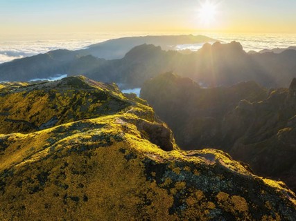 Aerial view at Pico do Arieiro of mountains over clouds with blooming Cytisus shrubs on sunset with