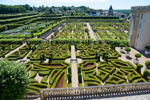 Detailed view of a geometric garden with hedge maze and manicured paths on a sunny day, Villandry