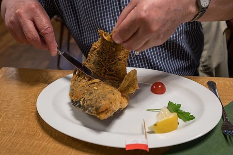 Baked Common carp (Cyprinus carpio) served in an inn, Franconia, Bavaria, Germany, Europe