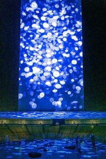 Plante Ozean exhibition in the Gasometer in Oberhausen, the world's oceans in their fragile beauty