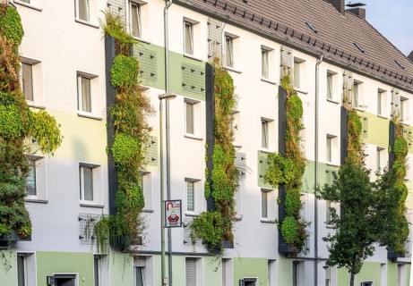 Facade greening on apartment blocks, on Gladbecker Straße, B224, to filter nitrogen oxides and fine