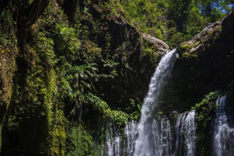 Sendang Gile waterfall, nature, landscape, flowing, river, fresh, clear, clean, environment,