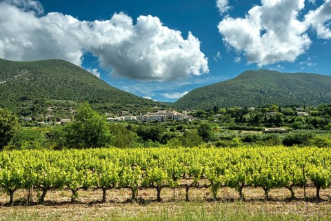 Venterol village near Nyons and its vineyards in Drôme Provençal. Drôme. Auvergne-Rhone-Alpes.