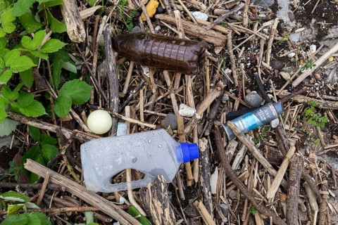 Symbolic image Environmental pollution, plastic waste, rubbish, flotsam from a flood on the Neckar