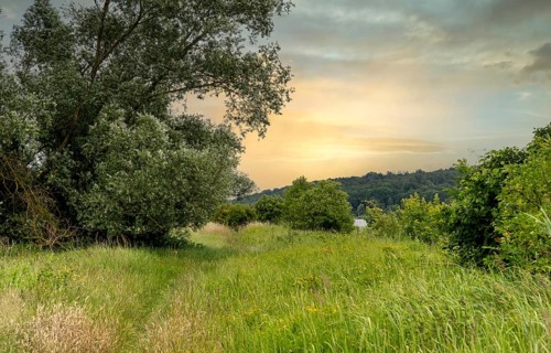 Border area between Germany and Poland, Lower Oder Valley National Park, Brandenburg, Germany,