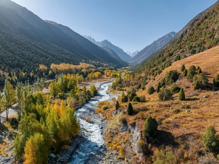 Aerial view, mountain stream Ala Archa flows through the Ala Archa valley, autumnal mountain