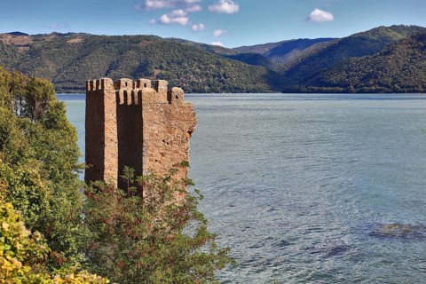 Wallachia, two towers in the Danube near Sivinita, Iron Gate nature park Park, Danube landscape,