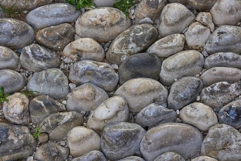 Large round stones lined up close together, predominantly grey tones, some plants in the