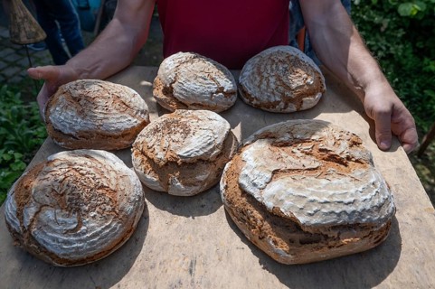 Freshly baked wood-fired bread on a tray, baking oven festival in Franconia, Bavaria, Germany,