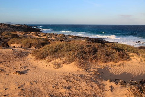 Coastal landscape sandy beach dunes, Corralejo, Fuerteventura, Canary Islands, Spain, Europe